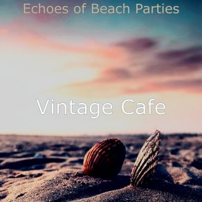 Echoes Of Beach Parties album cover