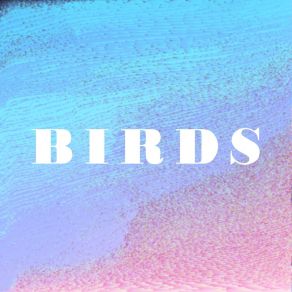 B I R D S album cover