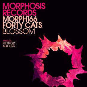 Blossom album cover