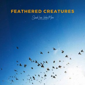 Feathered Creatures album cover