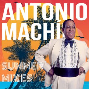 Summer Mixes album cover