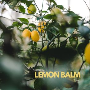 Lemon Balm album cover