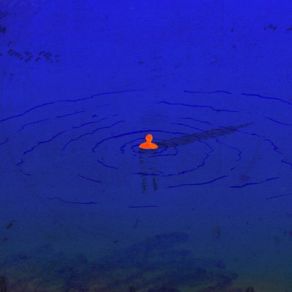 The Cult Of Water album cover