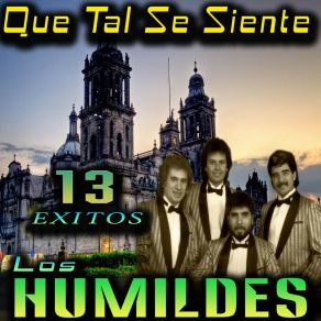 13 Exitos album cover