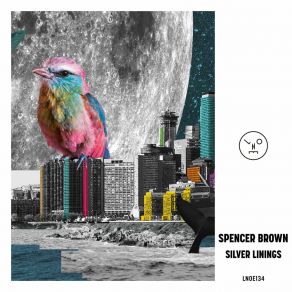 Silver Linings album cover