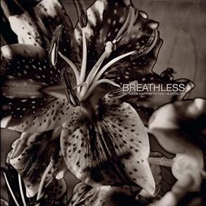 Between Happiness And Hearthache album cover
