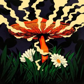 A Recurring Nature album cover