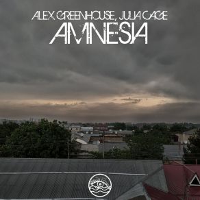 Amnesia album cover