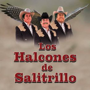 Mi Casa Nueva album cover