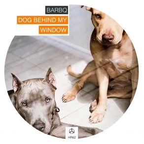 Dog Behind My Window album cover
