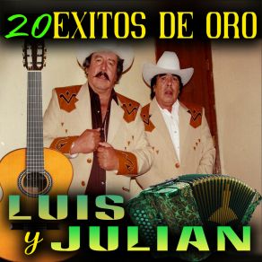 20 Exitos De Oro album cover