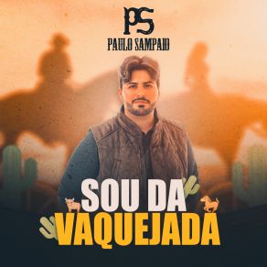 Sou Da Vaquejada album cover