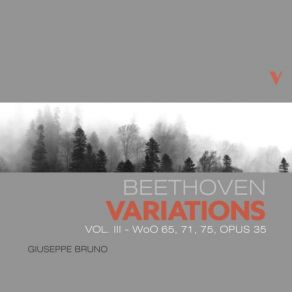 Beethoven: Piano Variations, Vol. 3 (CD2) album cover