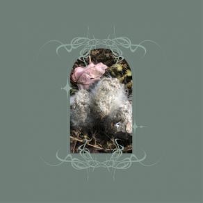 Glans Intercum album cover