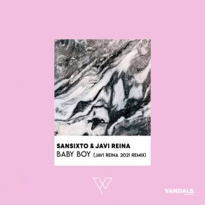 Baby Boy (Javi Reina 2021 Remix) album cover