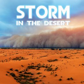 Storm In The Desert album cover