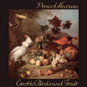 Exotic Birds And Fruit (Expanded Edition) album cover