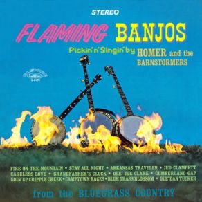 Flaming Banjos album cover