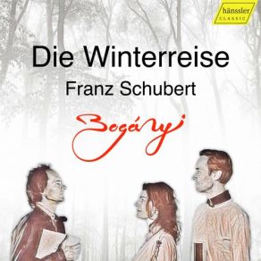 Schubert: Winterreise, Op. 89, D. 911 (Arr. For Oboe, Bassoon & Piano) album cover