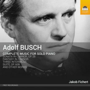 Busch: Complete Music For Solo Piano album cover