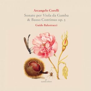 Sonate Per Viola Da Gamba & Basso Continuo Op. 5 album cover