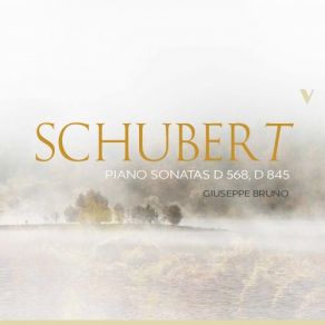 Schubert: Piano Sonatas, D. 568 & 845 album cover