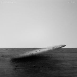 Vital (L. Southern Lord Recordings) album cover