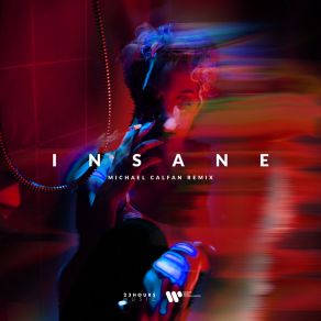 Insane (Michael Calfan Remix) album cover