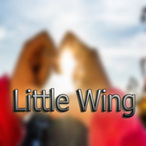 Little Wing (En Vivo) album cover