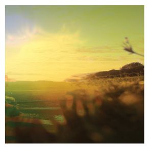 Solis album cover
