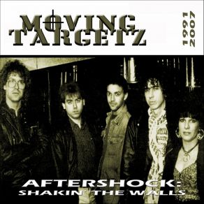 Aftershock: Shakin' The Walls (1991-2007) album cover
