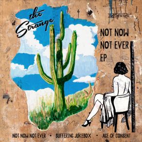 Not Now Not Ever album cover