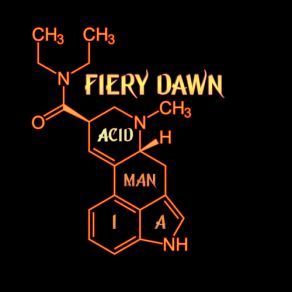 Acid Mania album cover