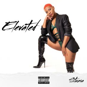 Elevated album cover