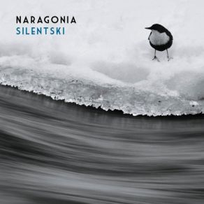 Silentski album cover