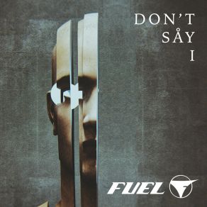 Don't Say I album cover