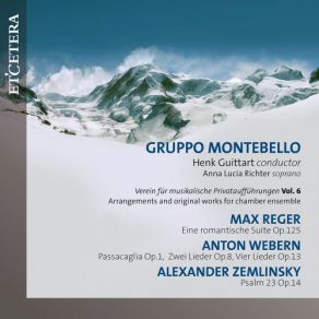 Verein Für Musikalische Privataufführungen, Vol. 6 album cover
