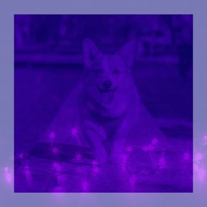 Bossa Saxophone - Ambiance For Separation Anxiety album cover