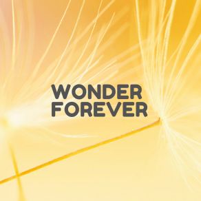 Wonder Forever album cover