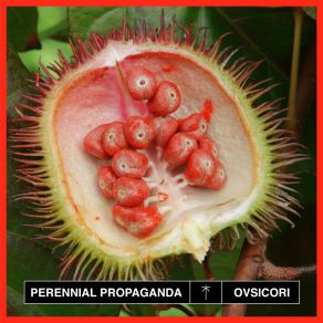Perennial Propaganda album cover