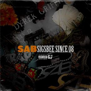 Sigsbee Since 08 album cover