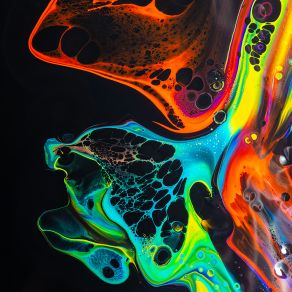 Brain In The Drop album cover