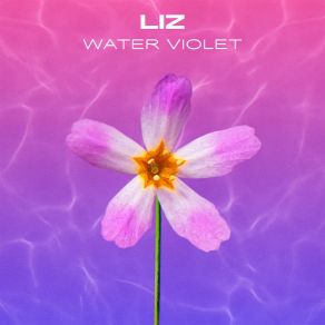 Water Violet album cover