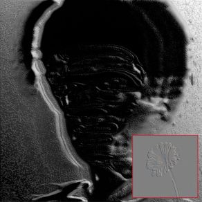 Água De Flor album cover