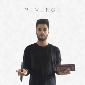 Revenge album cover