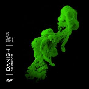 No Despair album cover