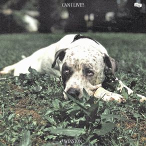 Can I Live? album cover