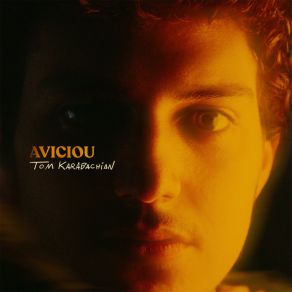 Aviciou album cover