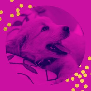 Simple Background For Sleeping Dogs album cover