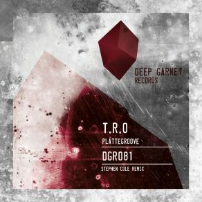 Plattegroove album cover